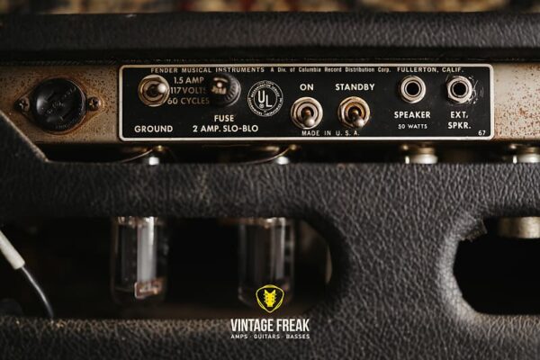 Fender Bassman 1966 Blackface - Image 6