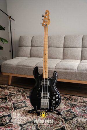 Peavey T-40 70's