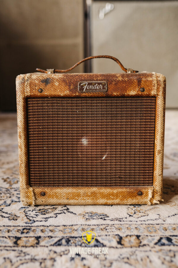 Fender Champ tweed 5F1 1955